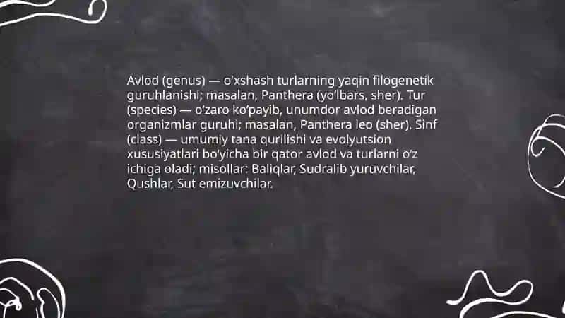 Hayvonot olamining xilma-xilligi 4