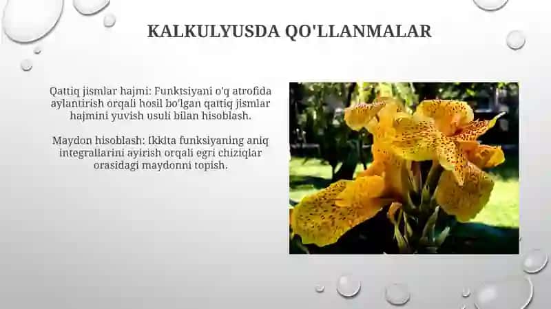 Ta'rif va Misollar 4
