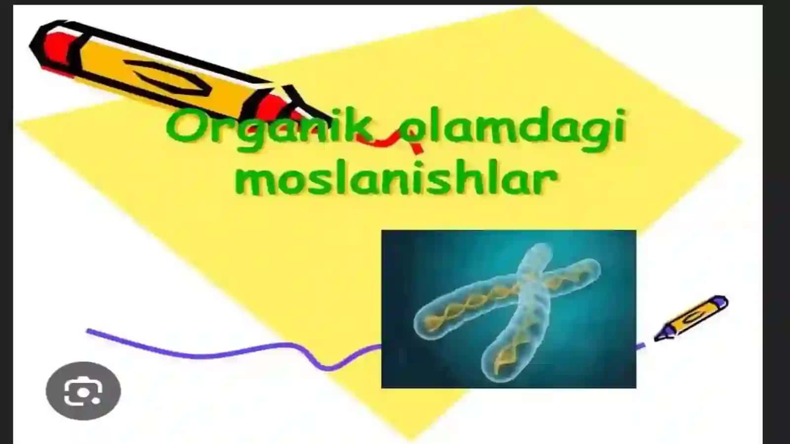 Organizmnıng moslashıshı 4