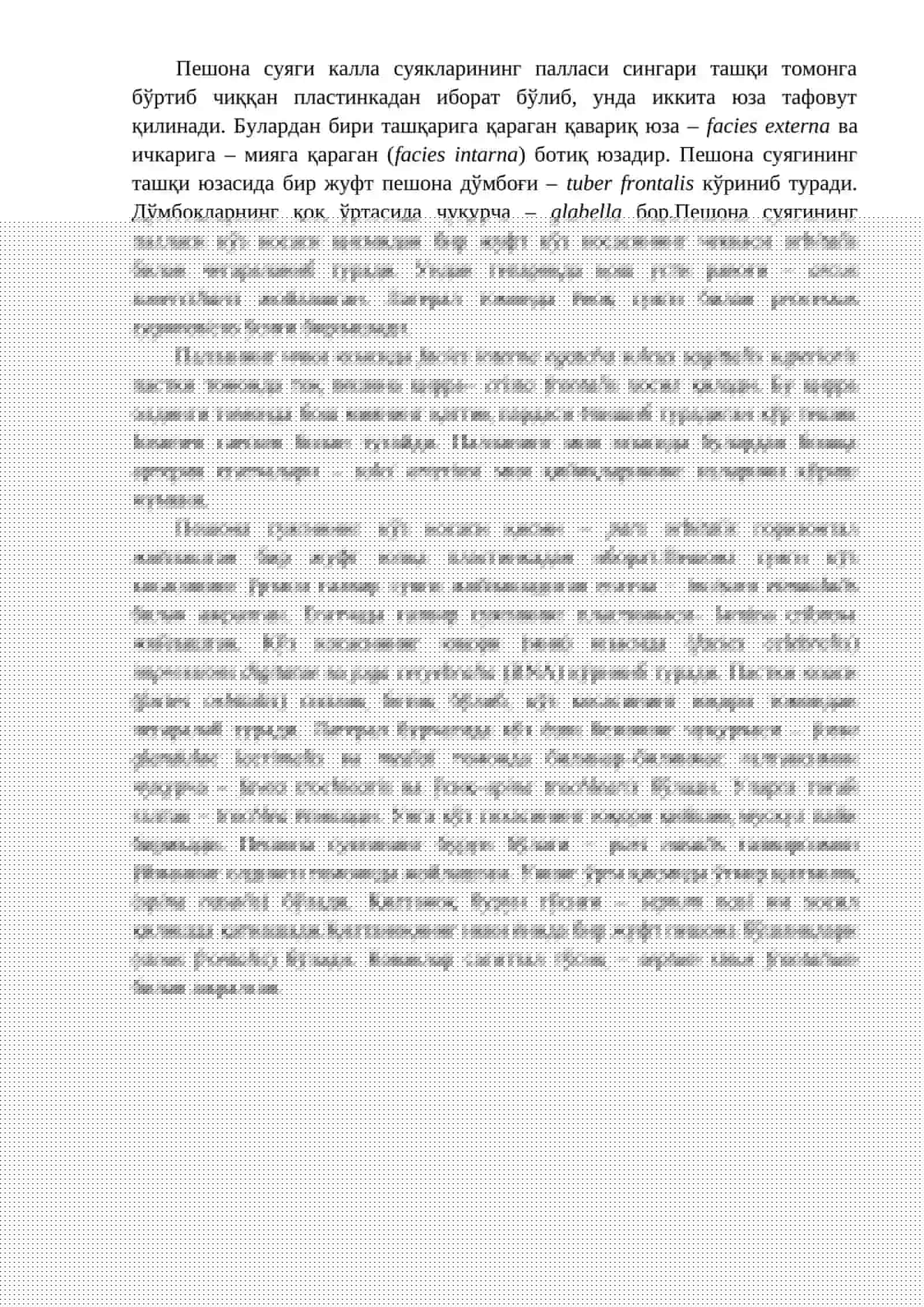 Бош скелети суяклари 4