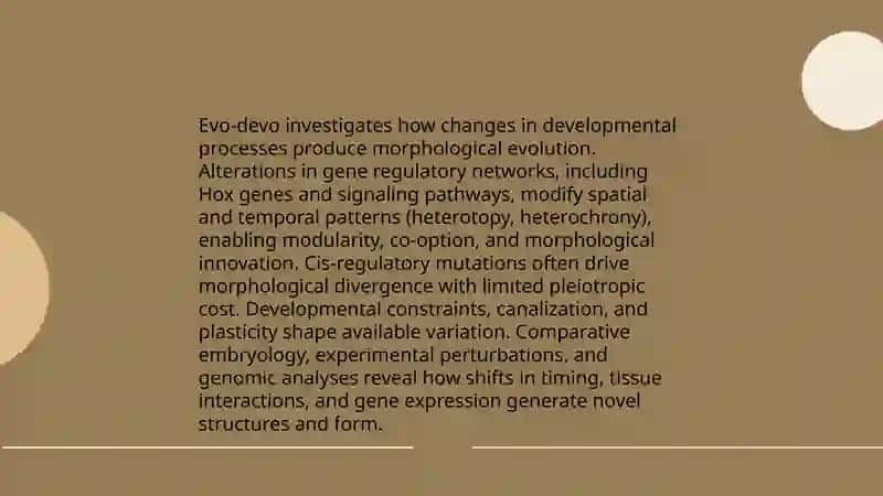 Evolution of Mofphology 4