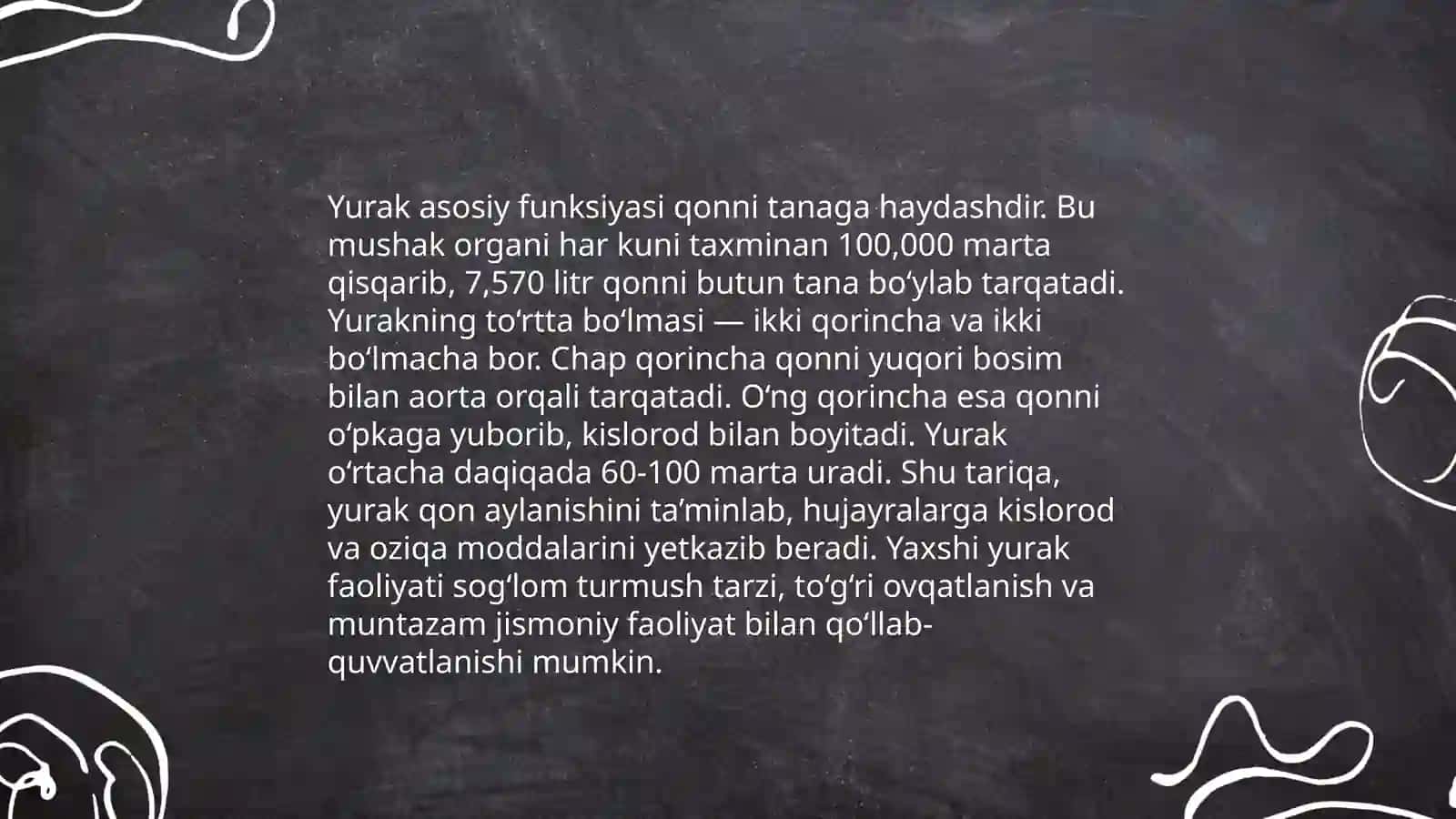 Yurak anatomiyasi 4