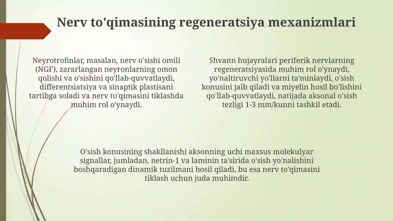 Nerv to'qimasining degeneratsiyasi va regeneratsiyasi mexanizmlari 4