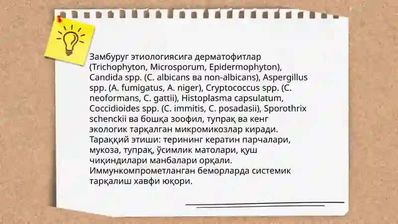 Замбуругли касалликларнинг кузгатувчилари 4