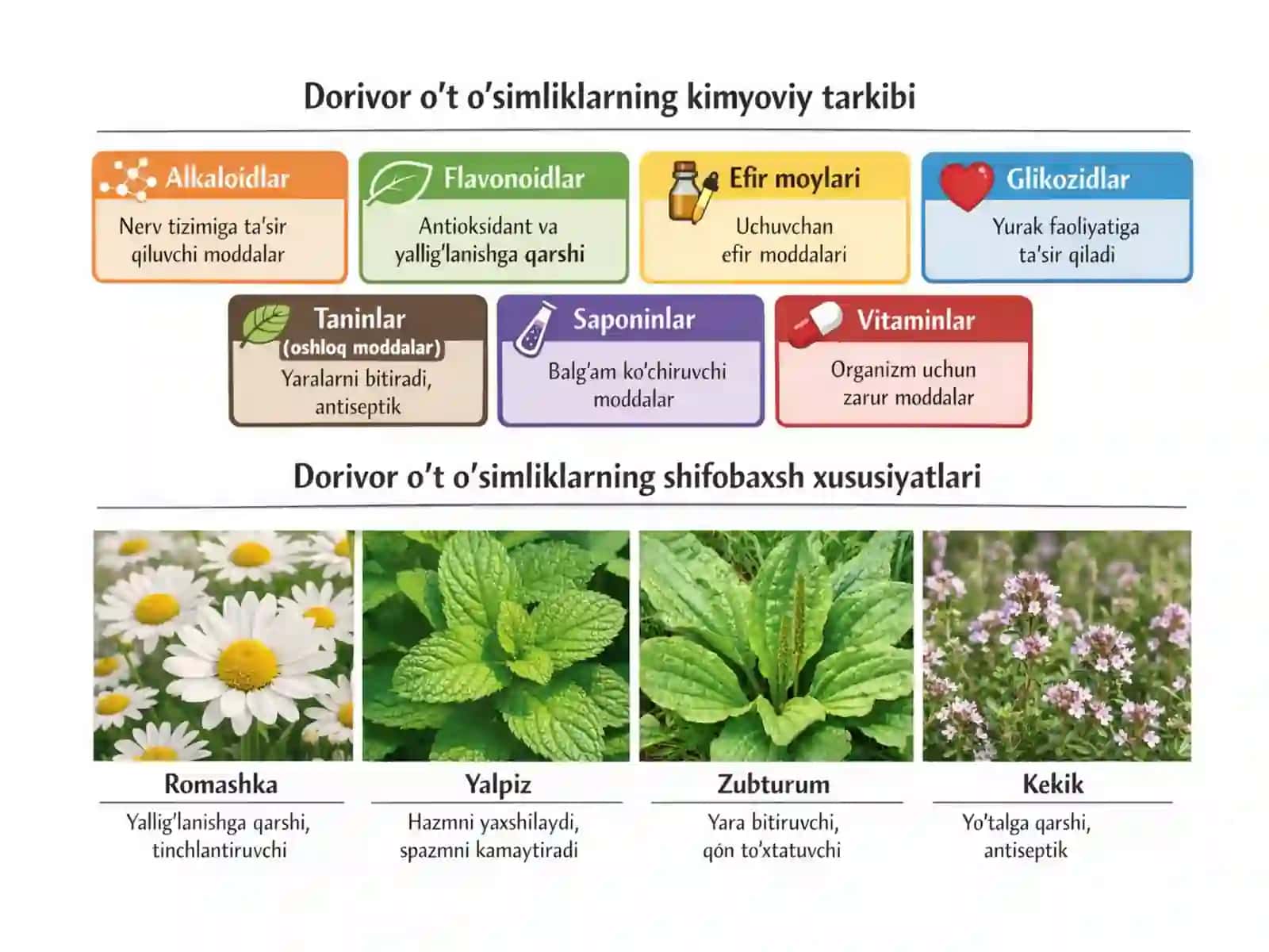 Dorivor o‘t o‘simliklar va ularning shifobaxsh xususiyatlari 4