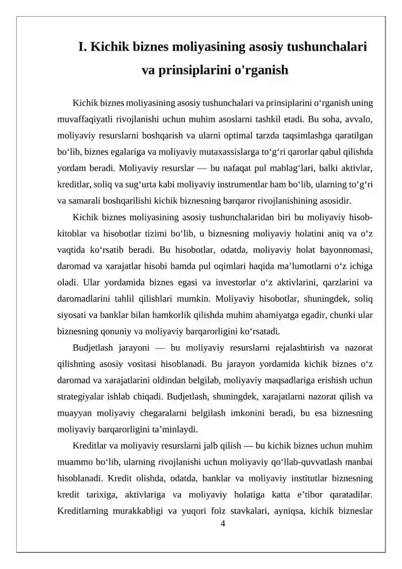 Kichik biznes moliyasi 4
