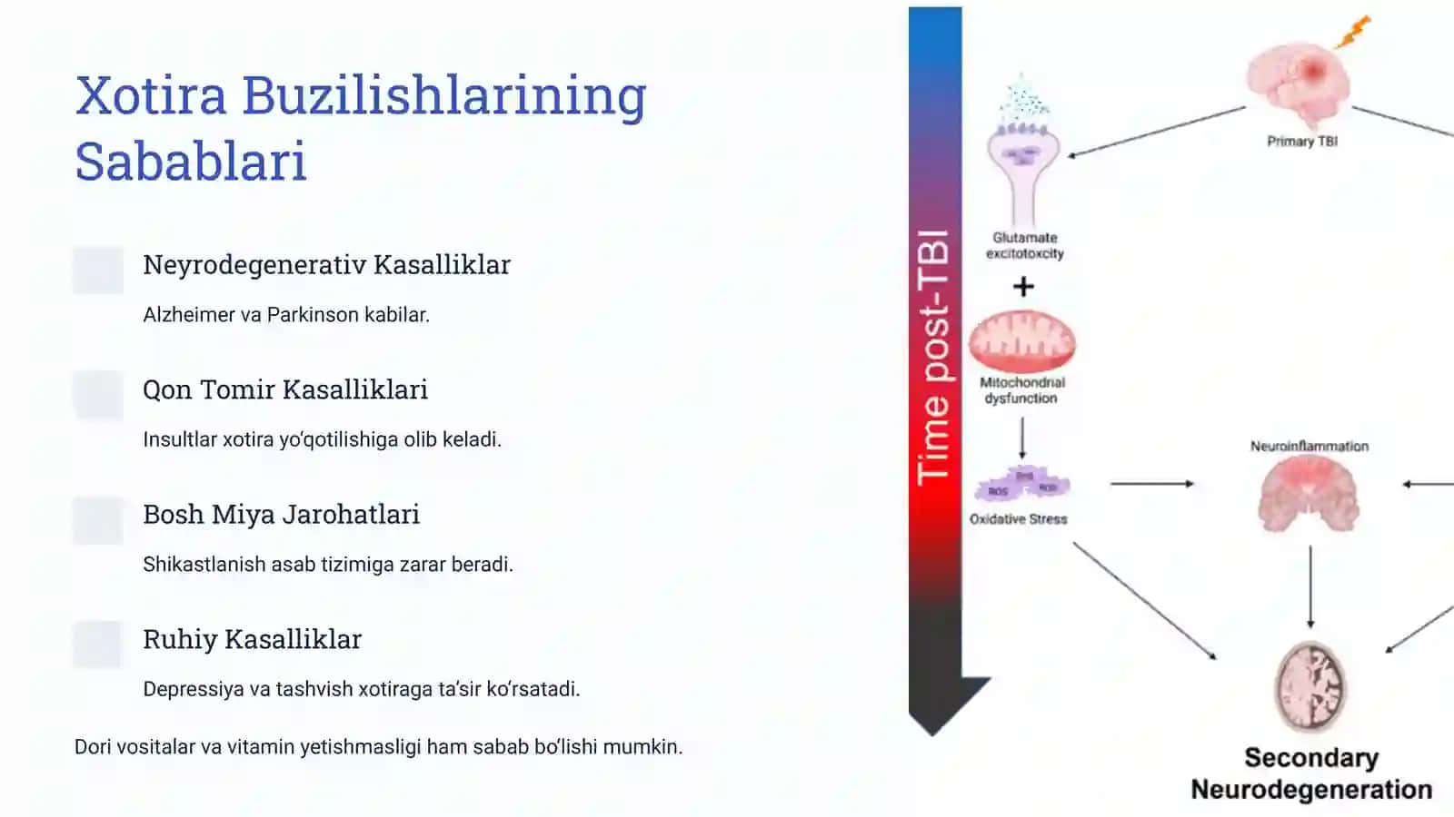 Xotira Buzilishlari 4