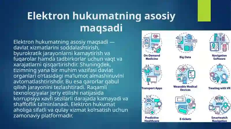 Elektron hukumatning amaldagi loyihalari 4