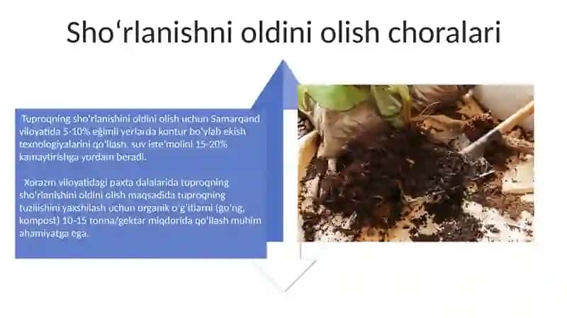 Shoʻrlangan tuproqlar va uni oldini olish chora tadbirlari 4