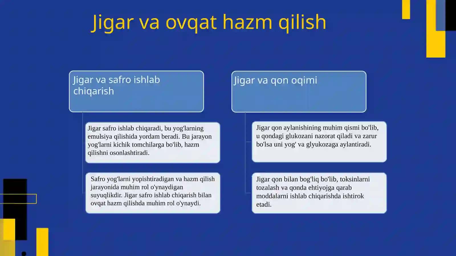 Jigarning hazm jarayonidagi roli 4