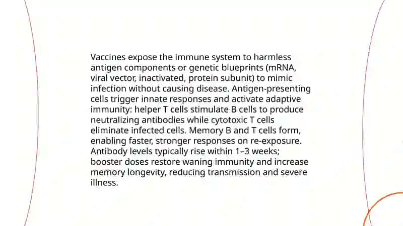 Vaccination Importance Presentation 4