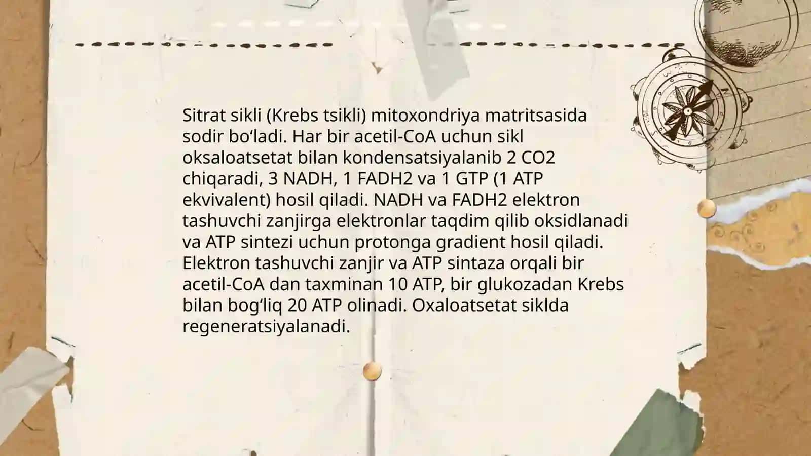 Glikoliz va sitrat sikli 4