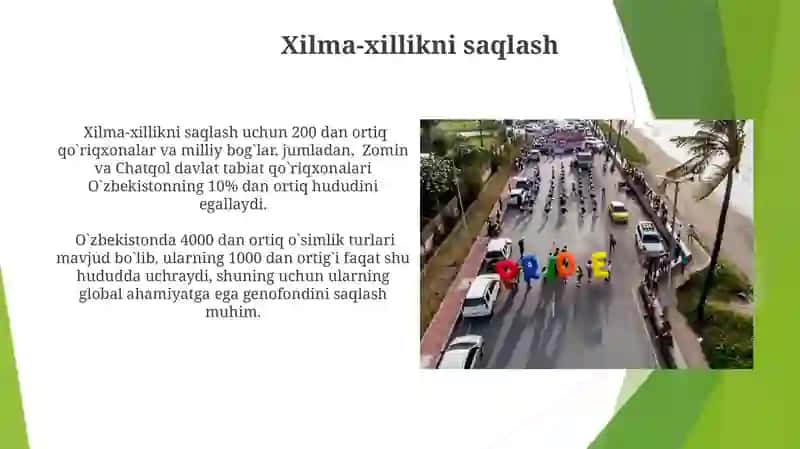 Bioxilma-xillik Darajalari 4