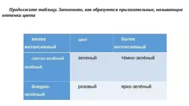 Система кровообращения 4