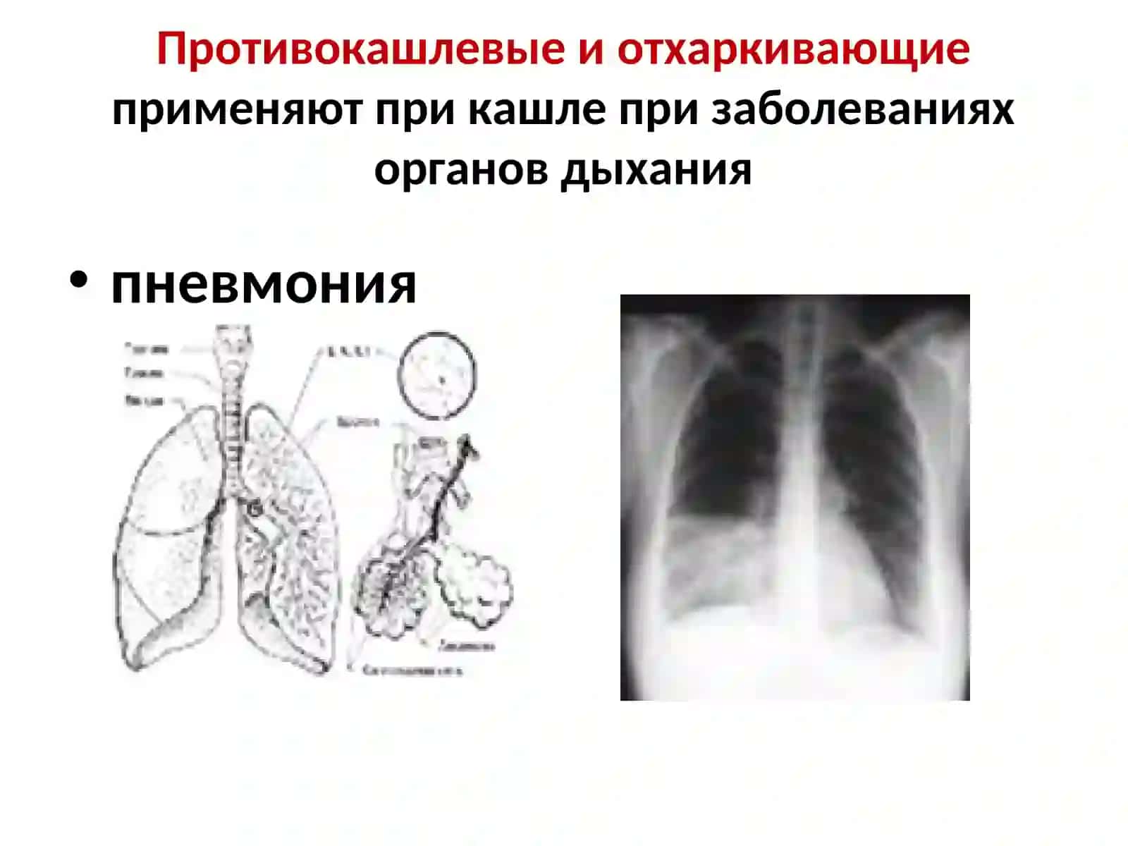 Противокашлевые и отхаркивающие 4