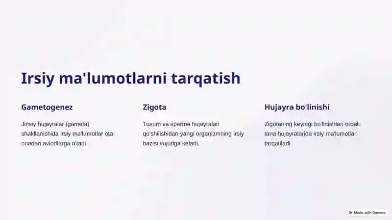 Irsiyatni shakillantirish bosqichlari 4