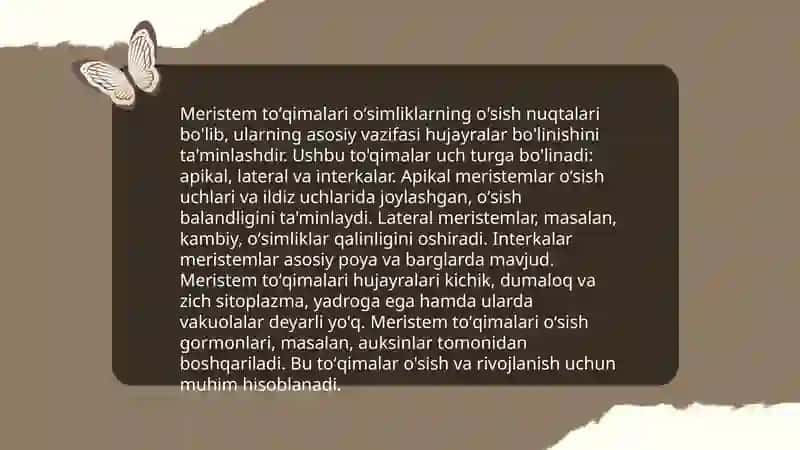 Oʻsimlik toʻqimasi 4