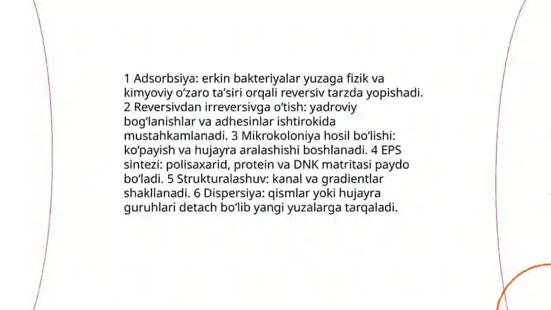 Bekteriyalarning bioplyonka hosil qilishi 4