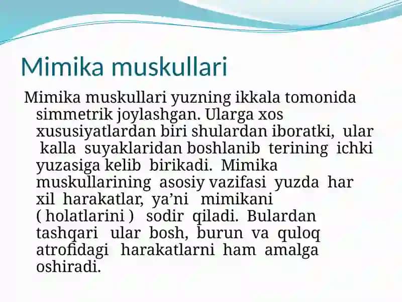 Mimika muskullari va vazifalari 4