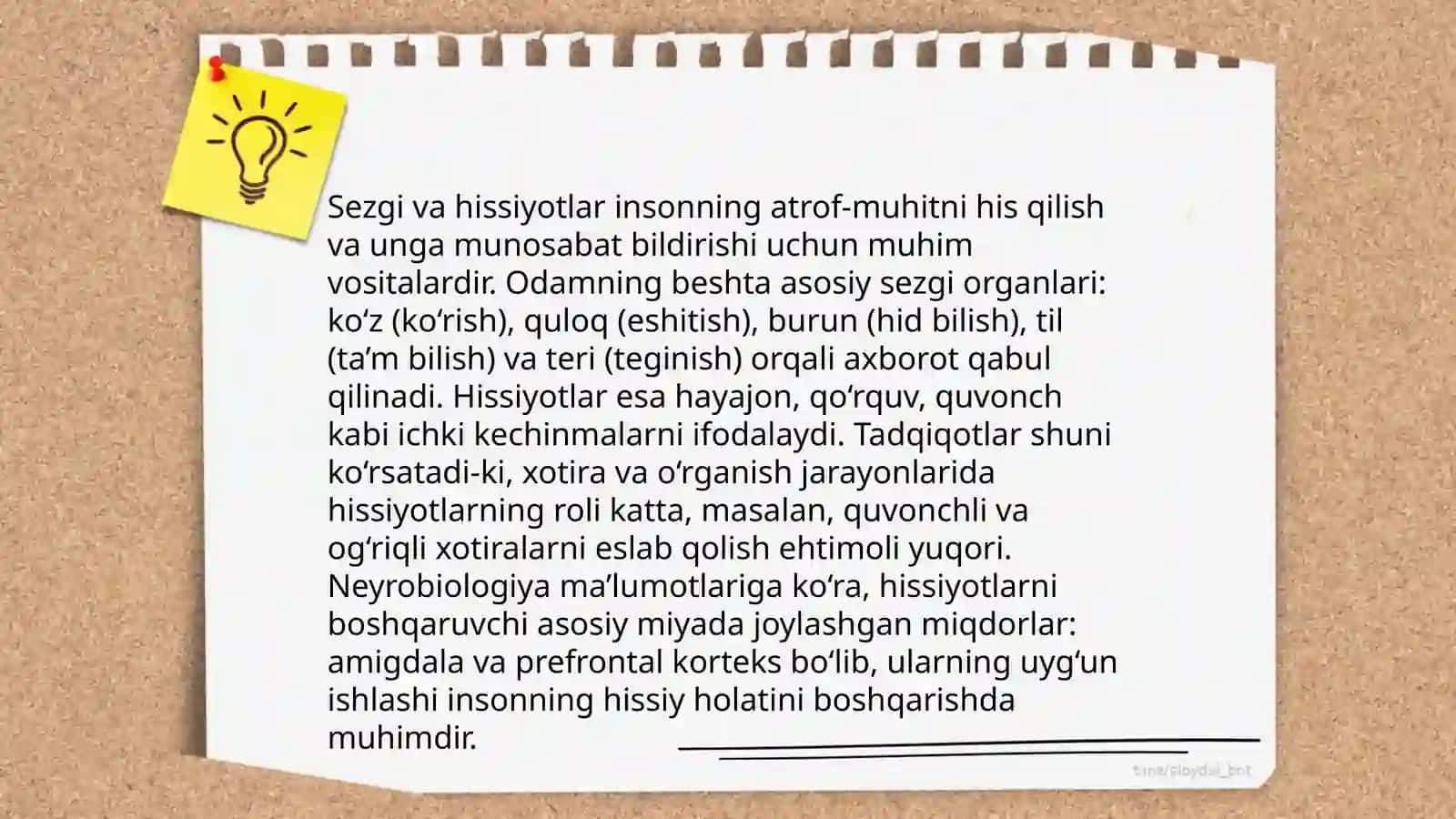 Sezgi va intuitsiya 4