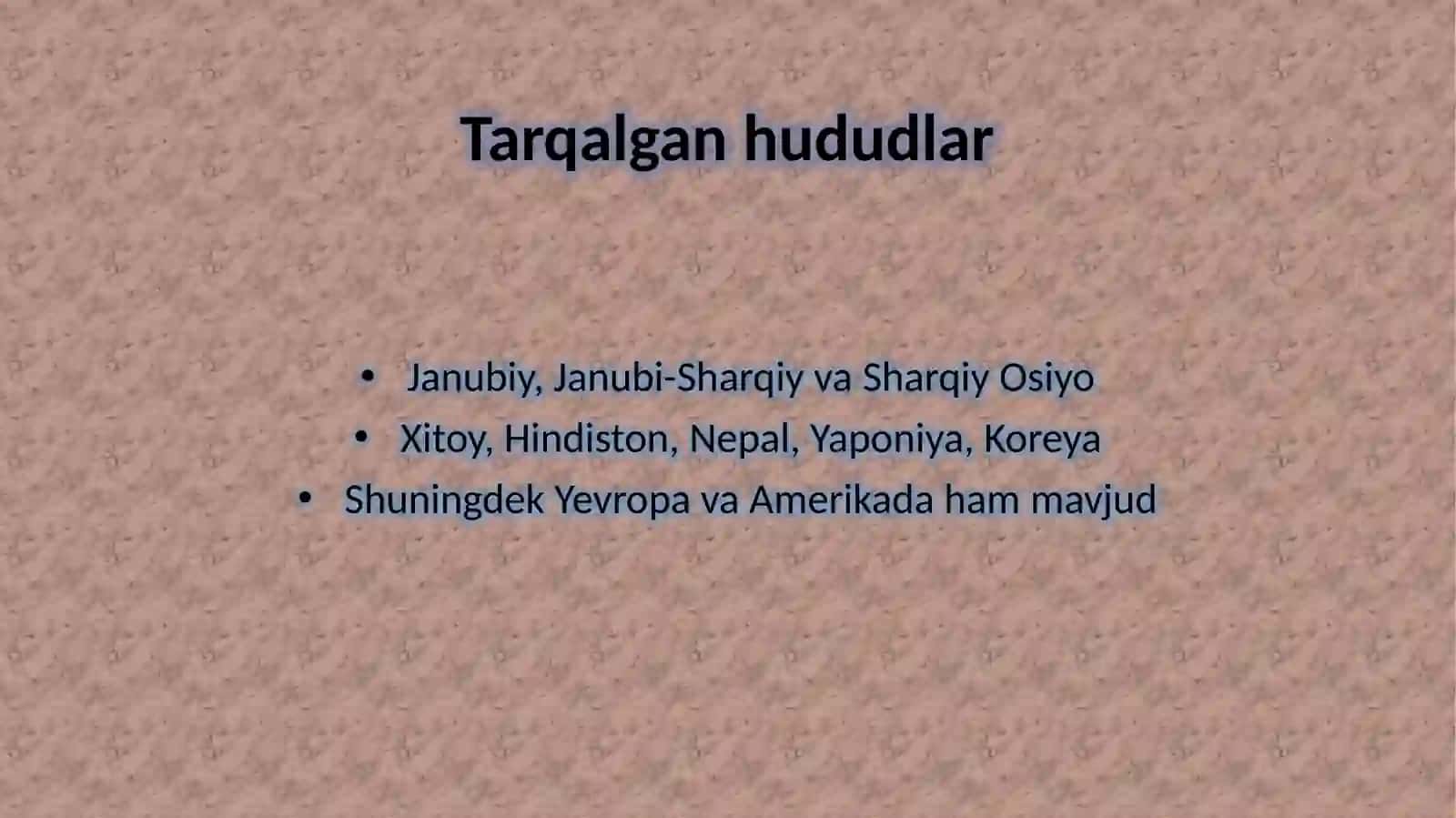 Buddaviylikdini tarixi va asosiy g‘oyalari 4