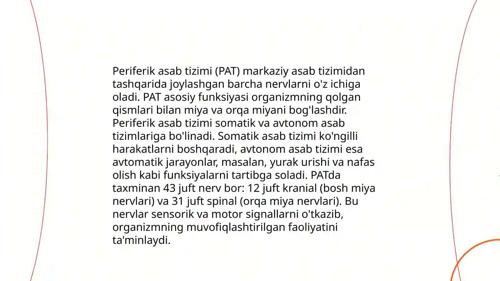 Nerv sistemasi 4
