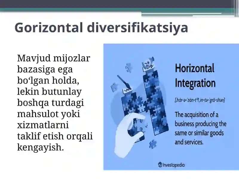 Diversifikatsiyavaintegratsiya 4