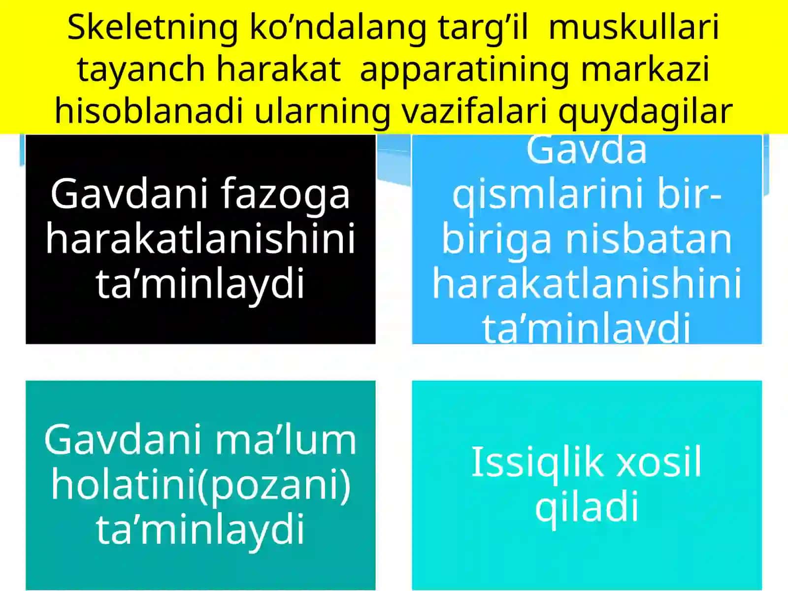 Ko’ndalang–targ’ilmuskullarningxossalari 4