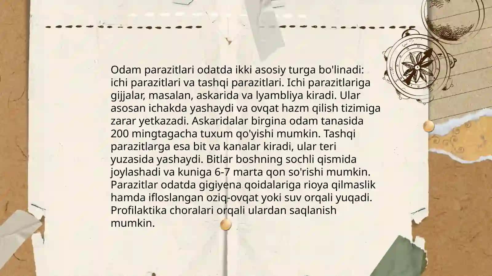 Sòrģichlilar biologiyasi 4
