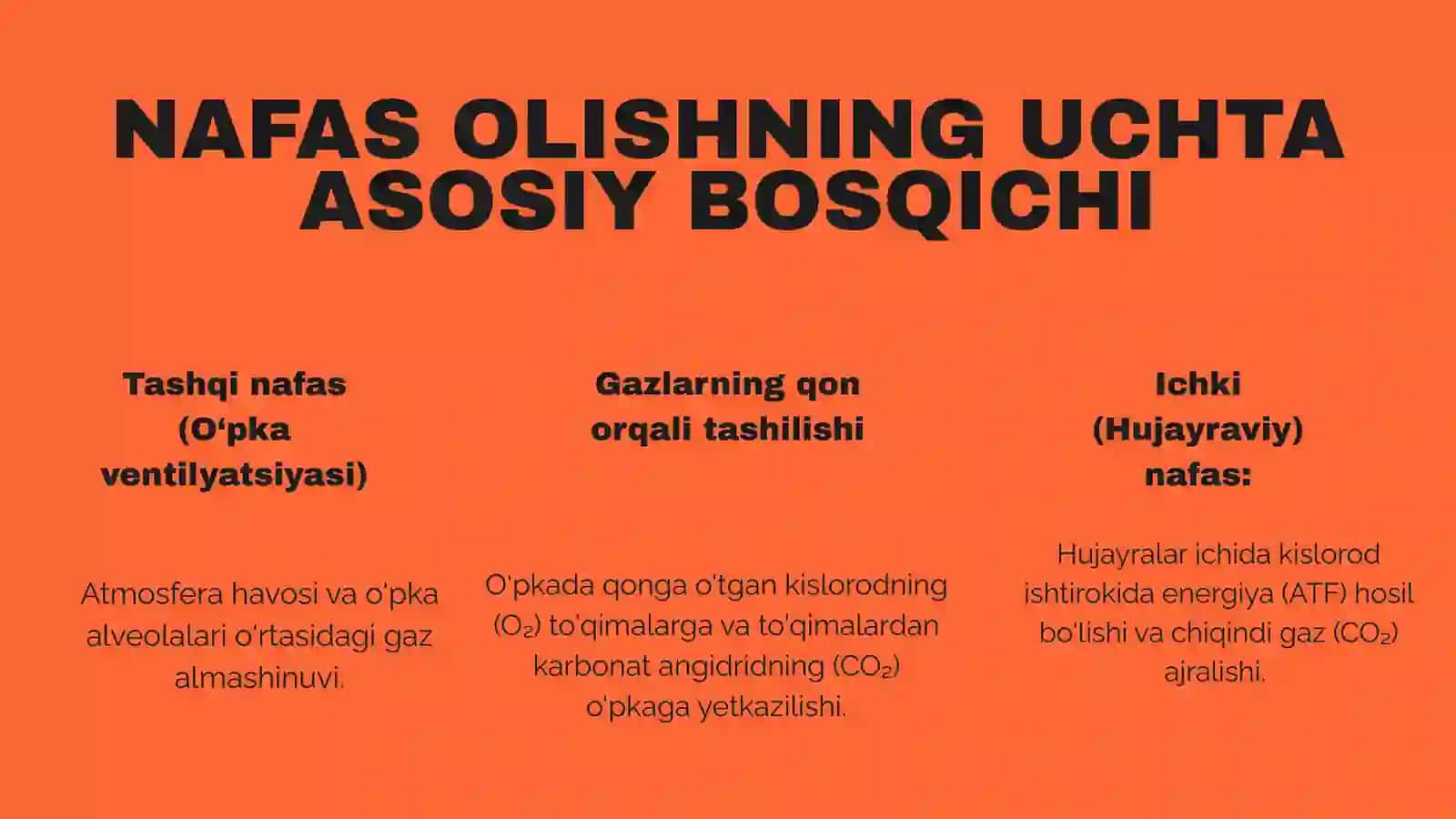 NAFAS TIPLARI. NAFASNING O'Z-O'ZINI BOSHQARISHI 4