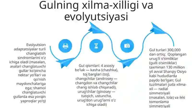 Gullar tuzilishi 4