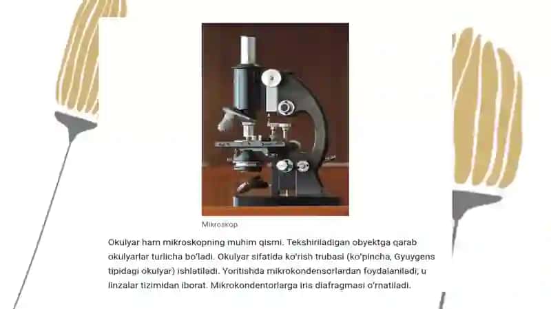 Mikroskop tuzilishi va uning kattalashtirishi 4