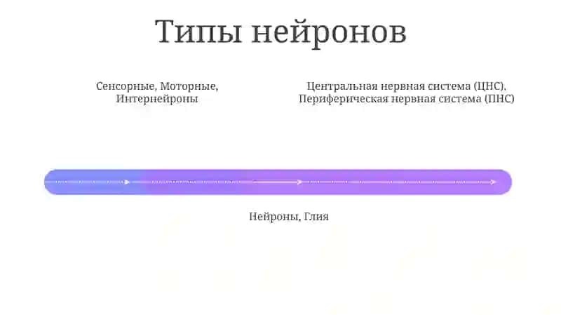 Мозг: Центральный командный пункт 4