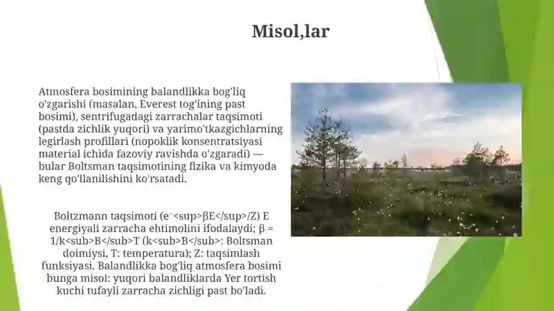 Boltzmann Taqsimoti 4