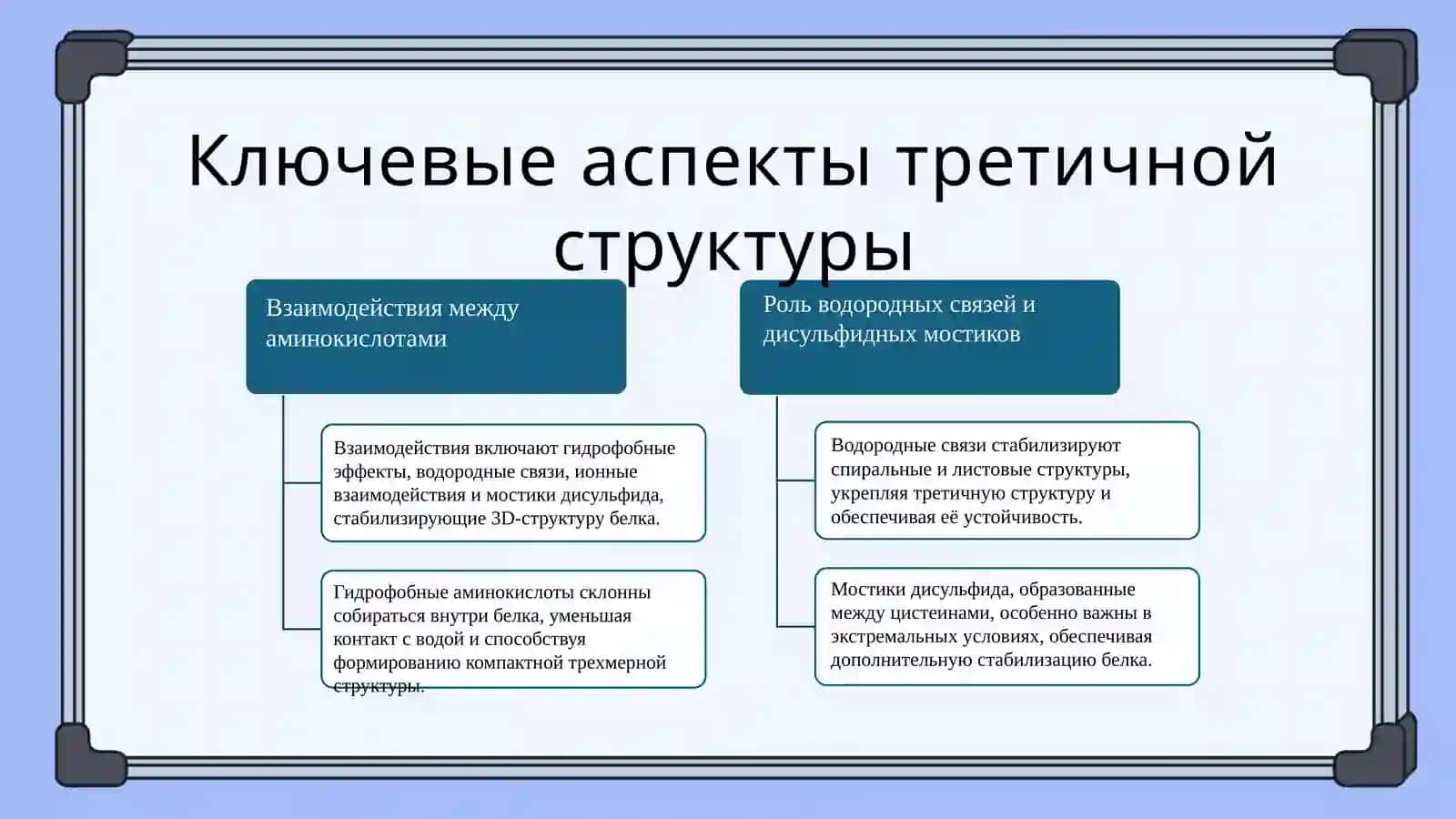 Третичный структура белков 4