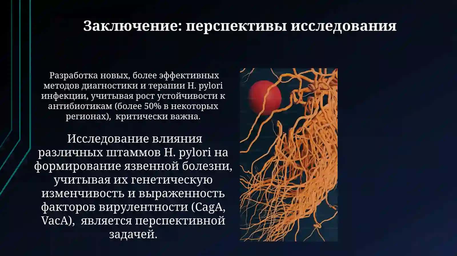 Введение в Helicobacter pylori 4