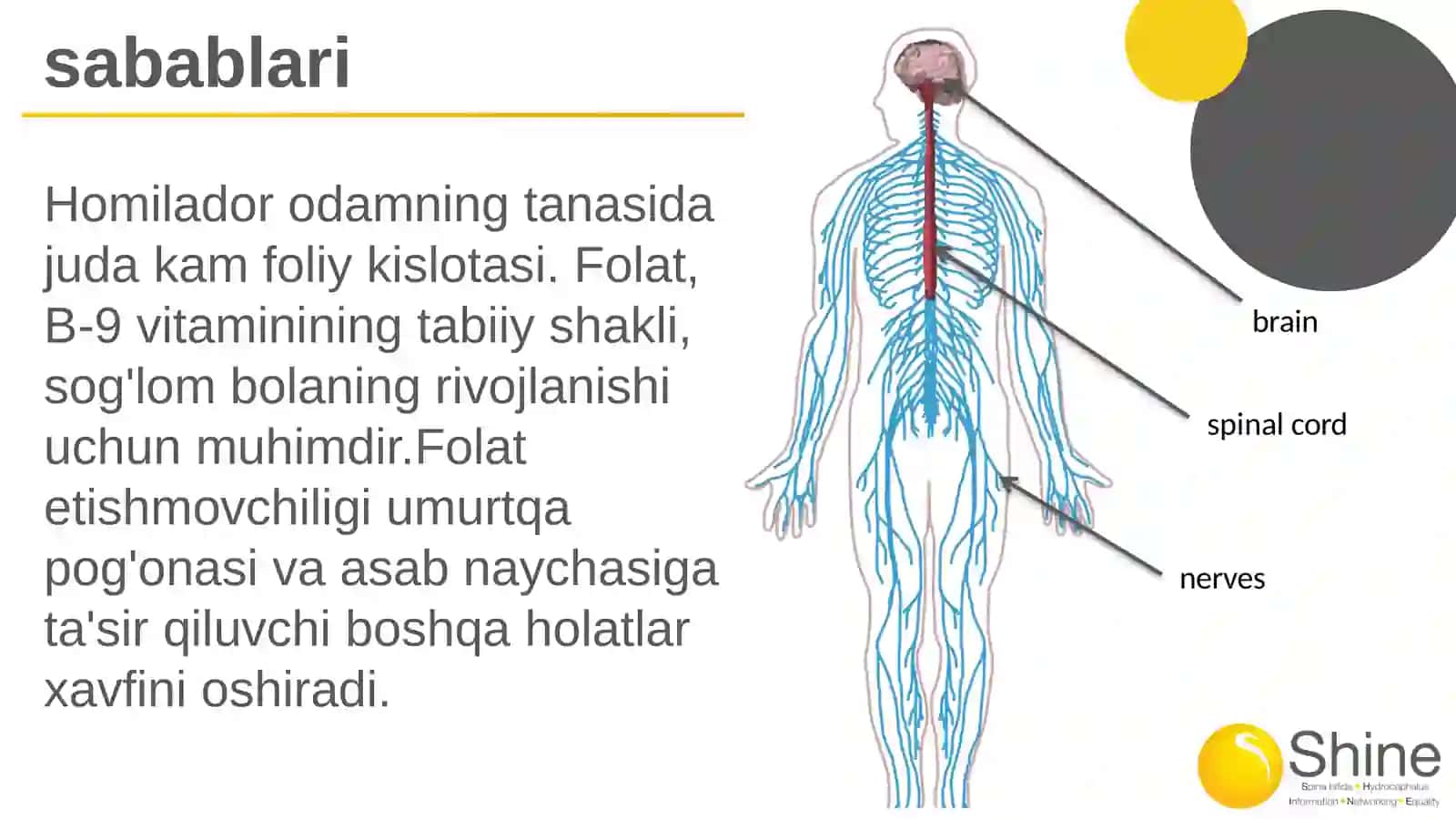 Spina bifida 4