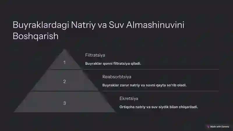 Arterial Bosimni Boshqarishda Buyraklarning Ro‘li 4