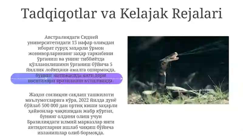 Zaharli Hayvonlar 4