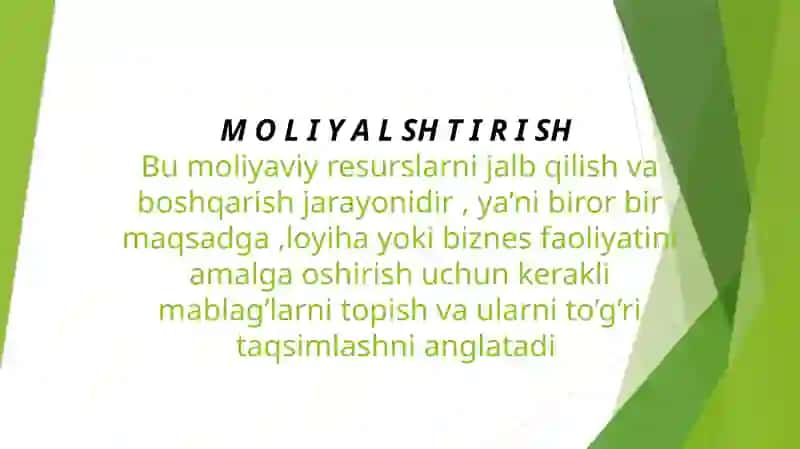 Uzoq muddatli moliyalashtirishning mohiyati va manbalari 4