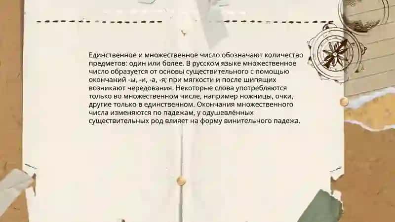 Категория числа у имён существительных 4