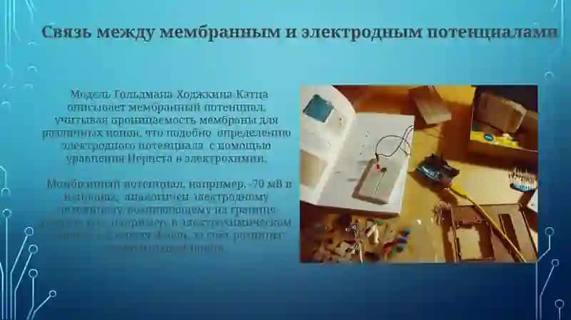 Электрохимические потенциалы: основы 4