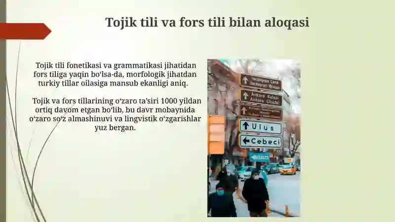 Turk tillarining taqdiri va kelajagi 4