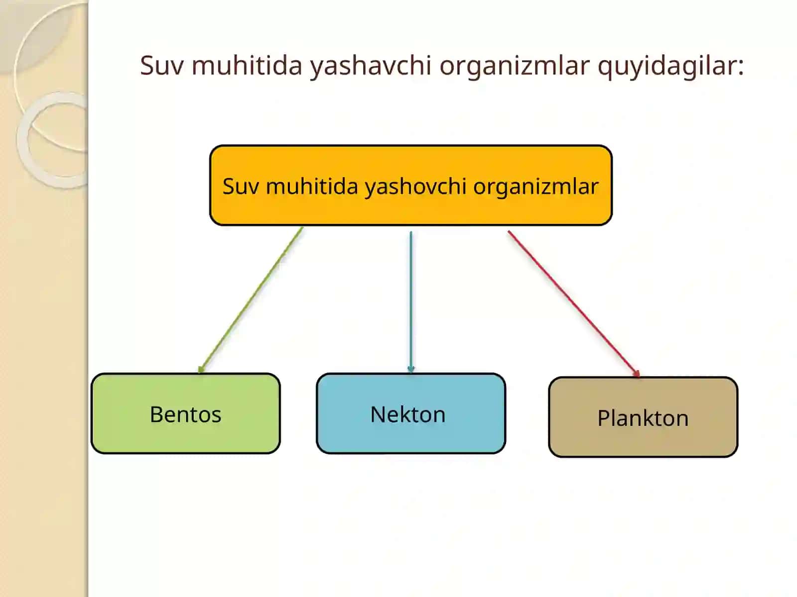 SUV MUHITIGA ORGANIZMLARNING MOSLASHISHI 4