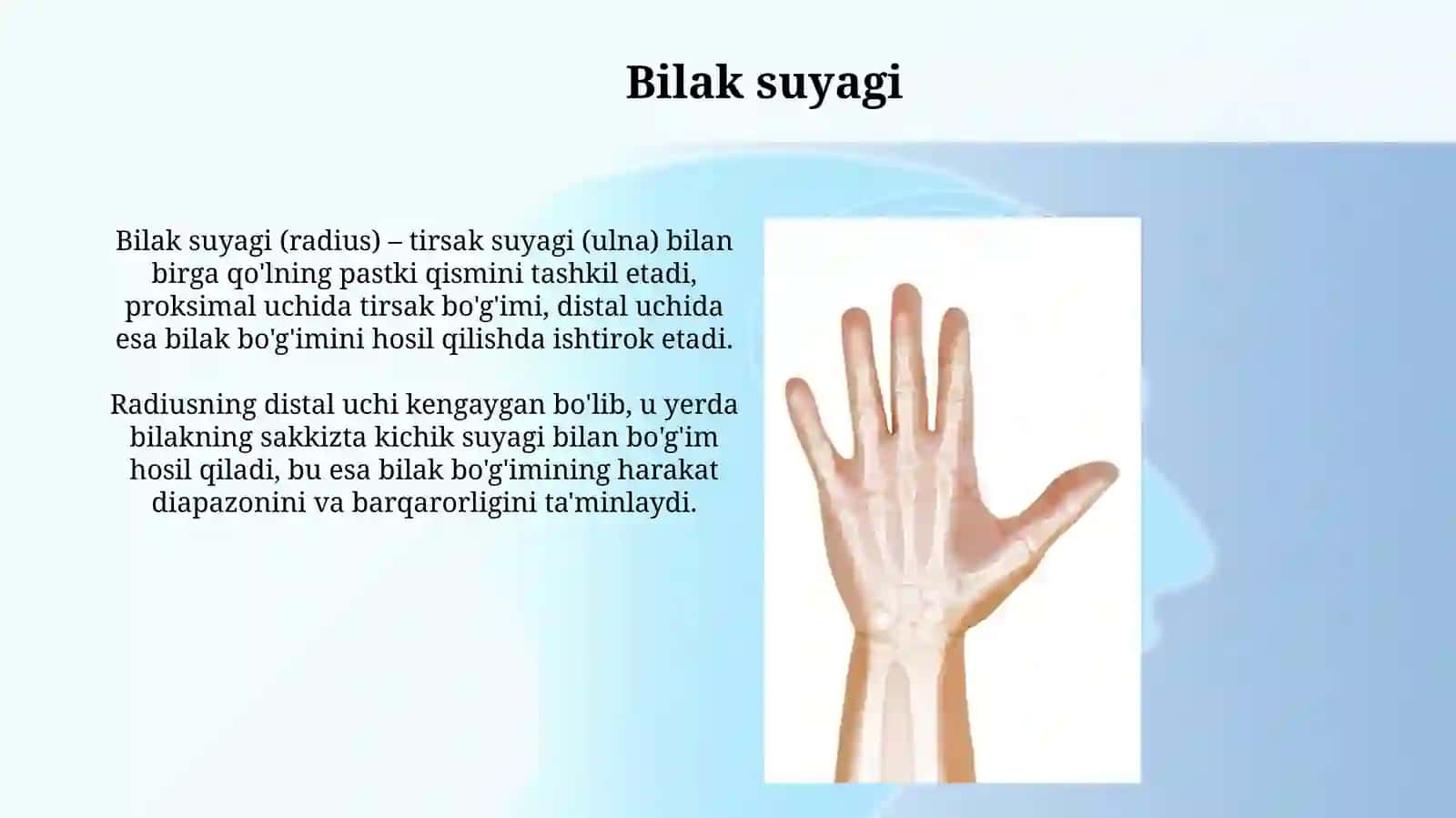 Qo'lning erkin vakamarsuyaklari 4