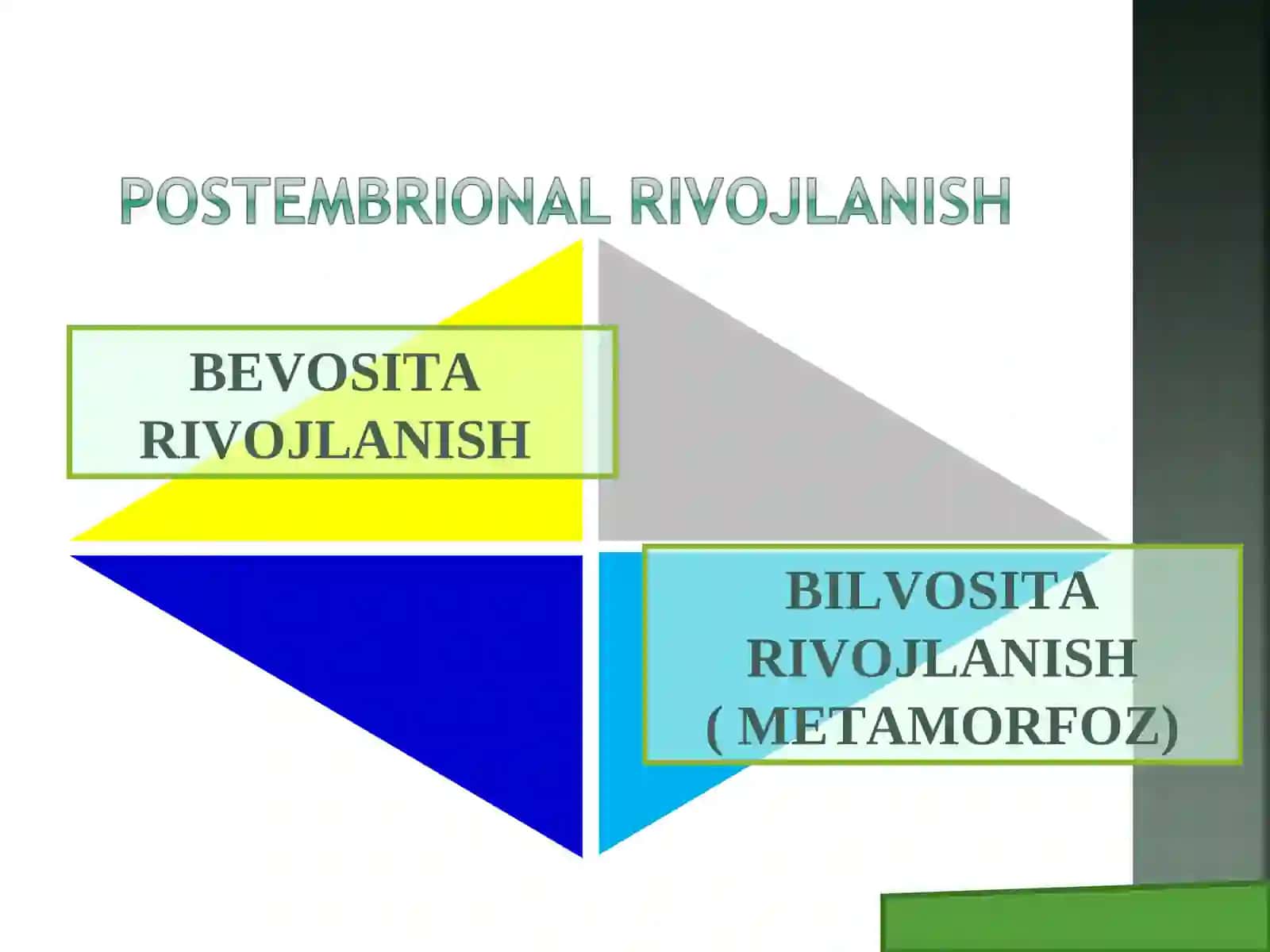 Ontogenez haqida tushuncha 4