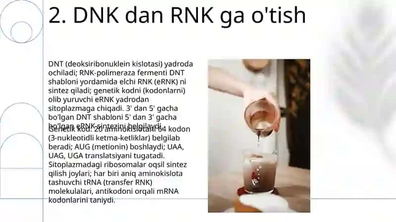 Oqsil sintezining tartibli boshqarilishi 4