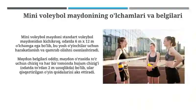 Mini voleybol: Tarix, Qoidalar va Maydon 4