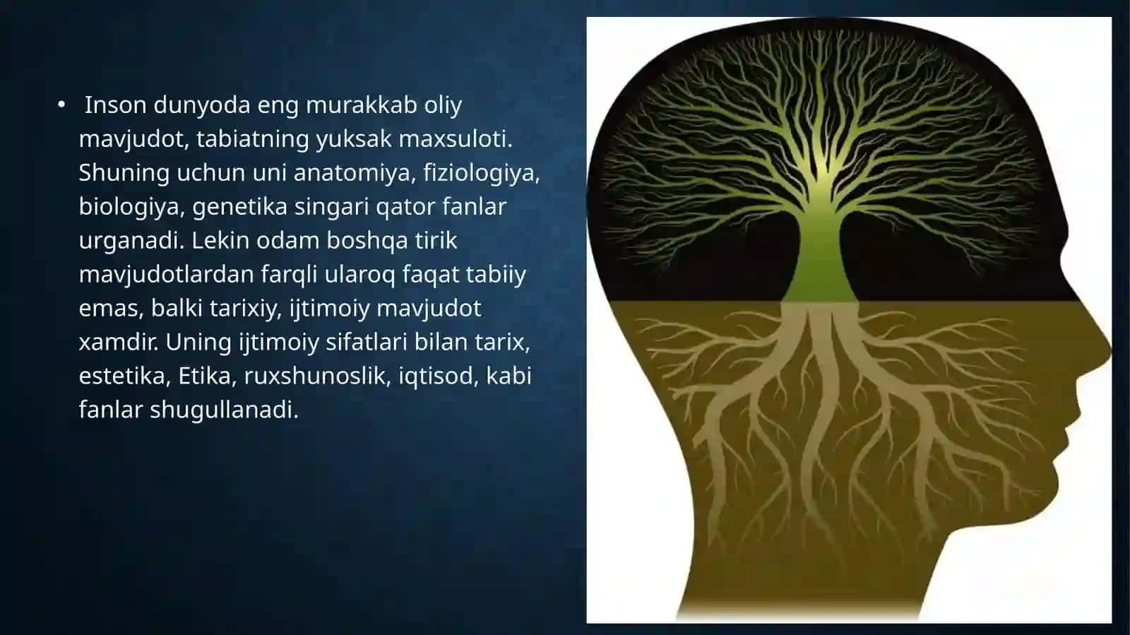 falsafadainsonmuammosi 4