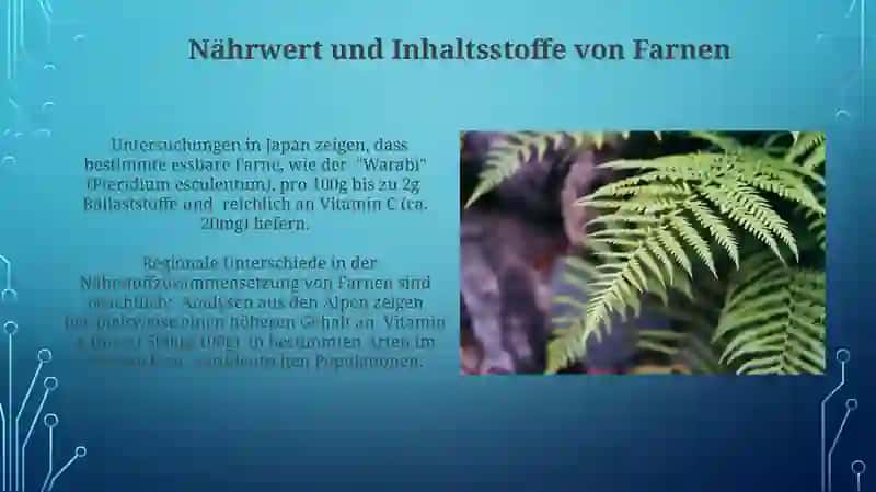 Farnverzehr: Eine globale Perspektive 4